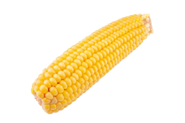 Gotowana kukurydza na białym tle izolat — Zdjęcie stockowe