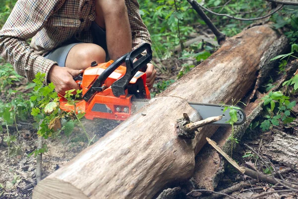Un silvicultor corta un árbol por la mitad con una motosierra — Foto de Stock