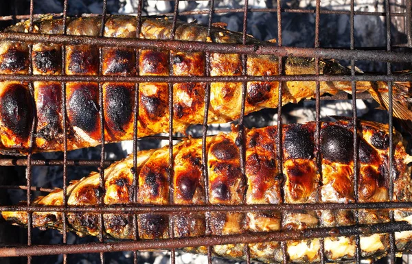 Charbon de bois poisson cuisson, grillé maquereau street food — Photo