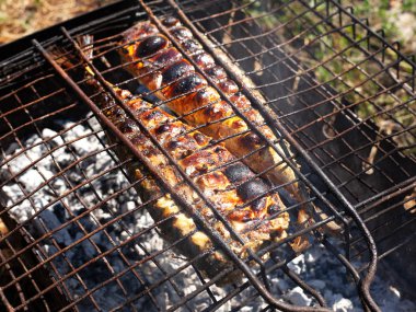 kamp ateşi üzerinde ızgara ızgara mackerels 