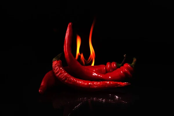 Queimando pimentas vermelhas quentes em um fundo preto — Fotografia de Stock
