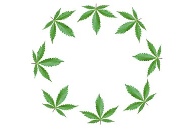 Beyaz zemin üzerinde yeşil kenevir yaprakları olan çerçeve. Marihuana yapraklı yuvarlak reklam logosu ve fotokopi yeri