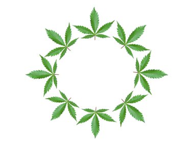 Beyaz zemin üzerinde yeşil kenevir yaprakları olan çerçeve. Marihuana yapraklı yuvarlak reklam logosu ve fotokopi yeri