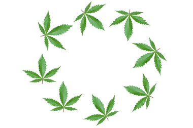 Beyaz zemin üzerinde yeşil kenevir yaprakları olan çerçeve. Marihuana yapraklı yuvarlak reklam logosu ve fotokopi yeri
