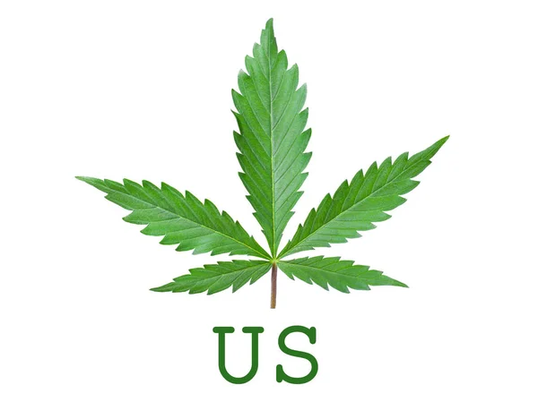 Marijuana simbolo di legalizzazione negli Stati Uniti foglia di cannabis verde isolato su sfondo bianco, logo verde degli Stati Uniti — Foto Stock