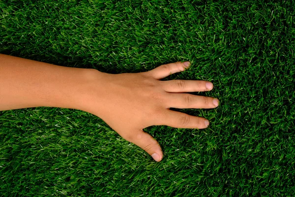 Ręka na trawniku, lewa ręka na zielonej trawie zbliżenie — Zdjęcie stockowe