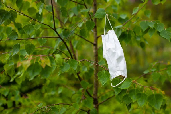 Tıbbi yüz maskesi yeşil bir ağacın dalında asılı duruyor. Çevre kirliliği, karantina covid-19 sırasında kullanılan maskelerin emisyonu