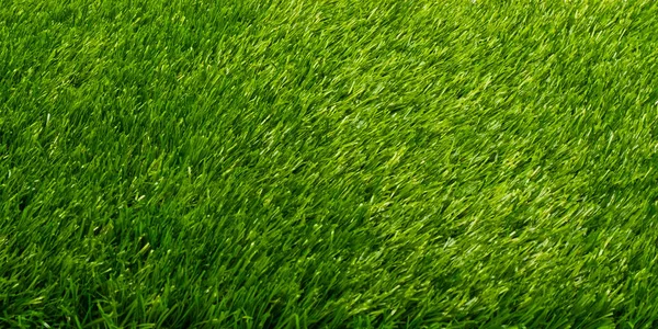 Tło sztuczna zielona trawa tekstura — Zdjęcie stockowe