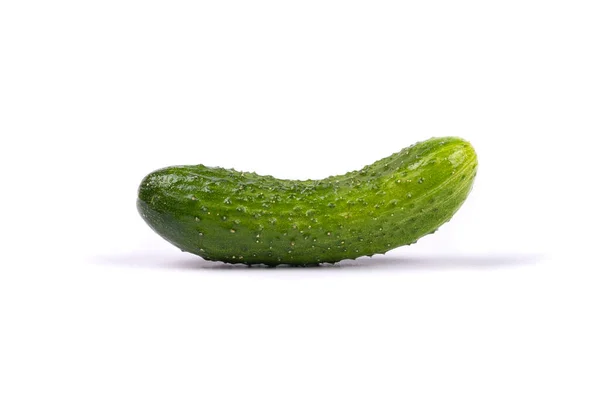 Green cucumber isolated on white background — Stock Photo, Image