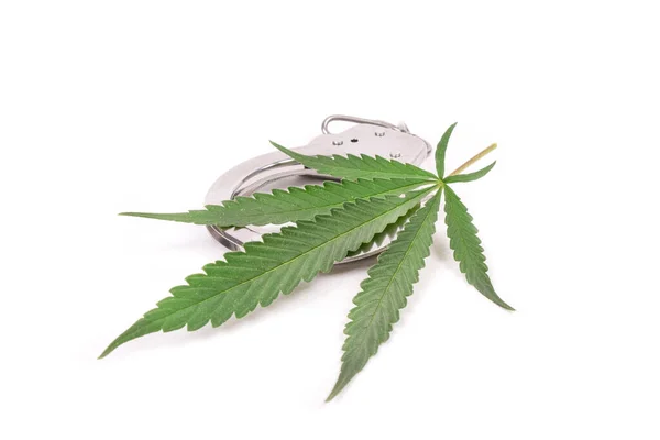 Outlaw illegal growing of marijuana,handcuffs and cannabis leaf — Stock Photo, Image