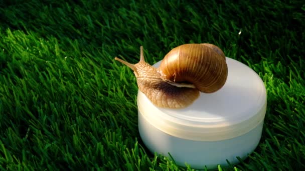 Beauté soins de la peau cosmétiques avec mucin d'escargot, crème hydratante sur herbe verte — Video