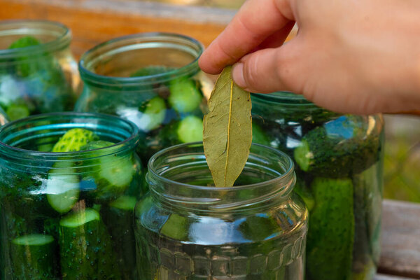 preparation for canning cucumbers for the winter, woman arranges ingredients in a jar close-up