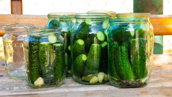 Preparation of cucumbers for canning for the winter, gherkins in a jar close-up — Stock Image Preparation of cucumbers for canning for the winter, gherkins in a jar close-up Royalty Free Stock Photos
