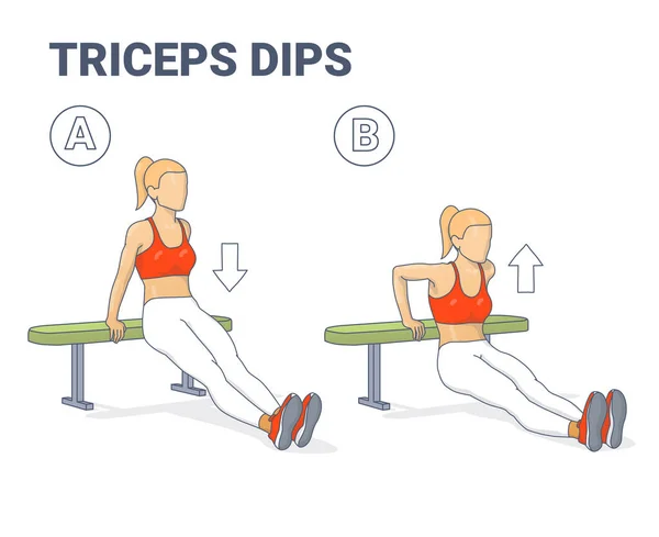 Bench Triceps Dips Kvinnlig Träningsguide Färgglad Illustration. — Stock vektor