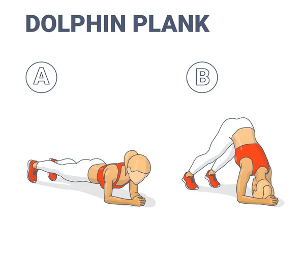 Dolphin Plank Feminino Home Workout Exercício Guia Conceito colorido. — Vetor de Stock