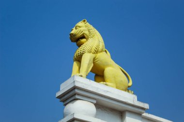 sarı ashoka aslanı dhauli tapınağında