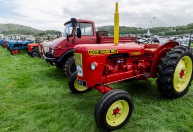Tarım traktörleri Llandudno Ulaşım Festivali 2019'da sergileniyor.