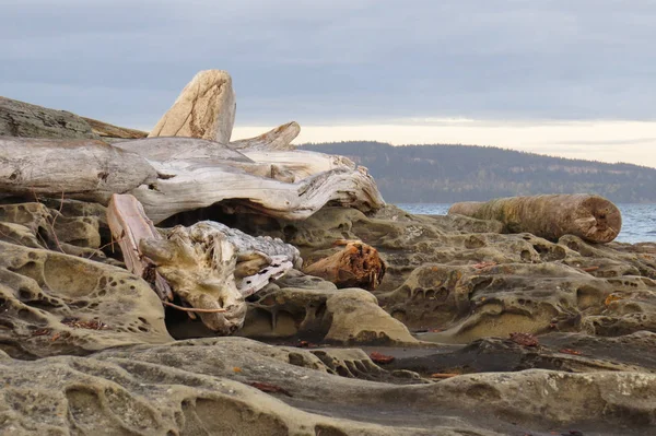 Скалистые Берега Дрифтвуд Острове Ванкувер — стоковое фото