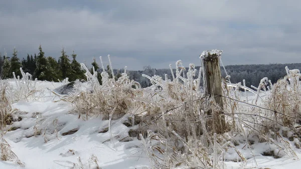 Ice and snow on a wire fence after an ice storm