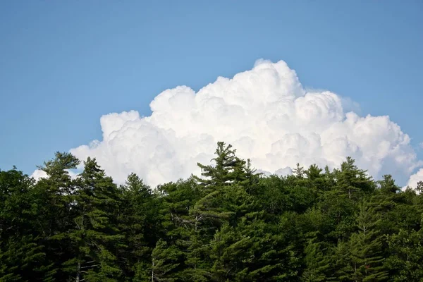 Grandes Nuvens Brancas Céu Azul Árvores Verdes — Fotografia de Stock