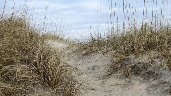 Dune Sabbia Sulla Spiaggia Nell Obx — Foto Stock