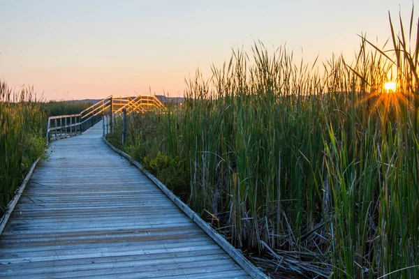 Strandpromenad Ett Kärr Vid Solnedgången — Stockfoto