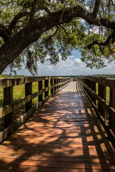 Boardwalk at Crews Lake Wilderness Park, Spring Hill, Florida — Stock Photo, Image