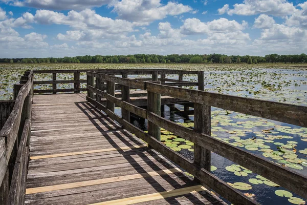 Boardwalk at Crews Lake Wilderness Park, Spring Hill,Florida — Stock Photo, Image