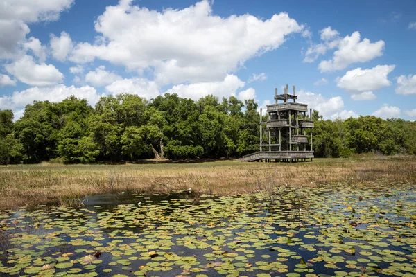 wooden observation tower at the marsh on a spring day