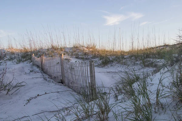 Protecting the sand dunes — Stock Photo, Image