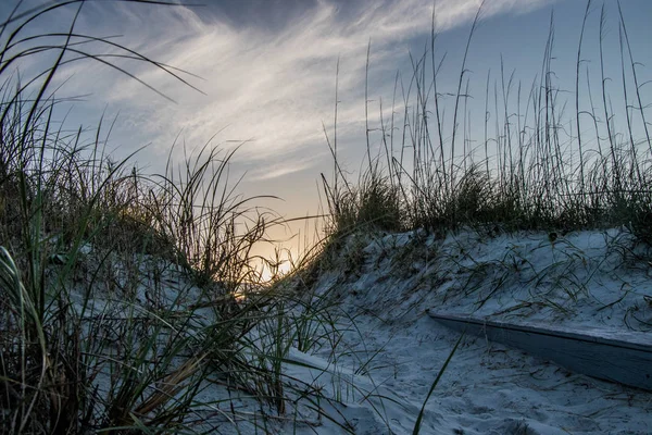 Homok dűne a Butler Beach, St Augustine, Florida — Stock Fotó