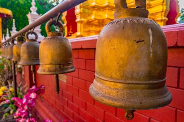 Budist tapınağı Chiang Mai, Tayland
