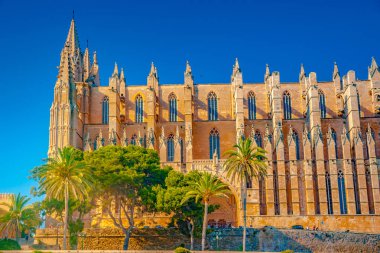 Palma de Mallorca Katedrali. 