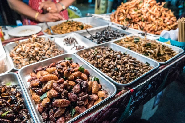 Fried owady na ulicach Bangkoku, Tajlandia — Zdjęcie stockowe