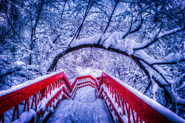 Japanische rote Brücke mit Schnee im Teich im Winter — Stockfoto