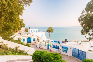 Sidi Bou Said, geleneksel Tunus mimarisi ile famouse köy.