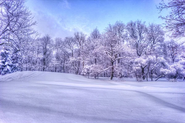 Paysage hivernal avec des arbres enneigés le long du parc d'hiver - scène hivernale enneigée dans des tons vintage — Photo
