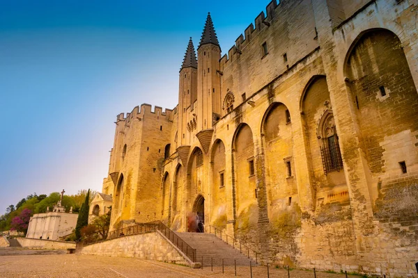 Popes Palace of Avignon, in Southern France — Stock Photo, Image