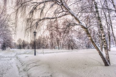 Kış karlı city park ara sokakta. Ağaçlar karla kaplı. Kış sezonu park ile yalnız fener
