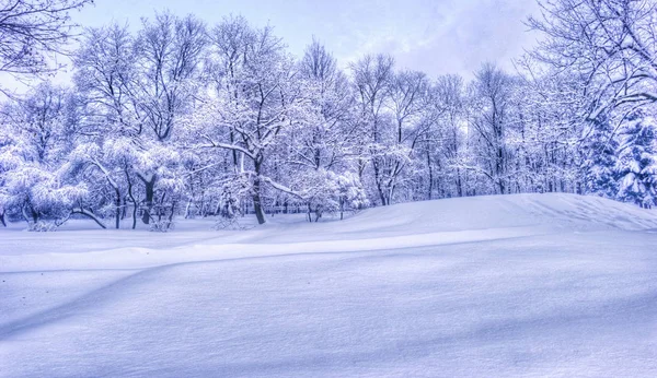 Winterlandschaft mit schneebedeckten Bäumen entlang des Winterparks - winterliche Schneelandschaft in Vintage-Tönen — Stockfoto
