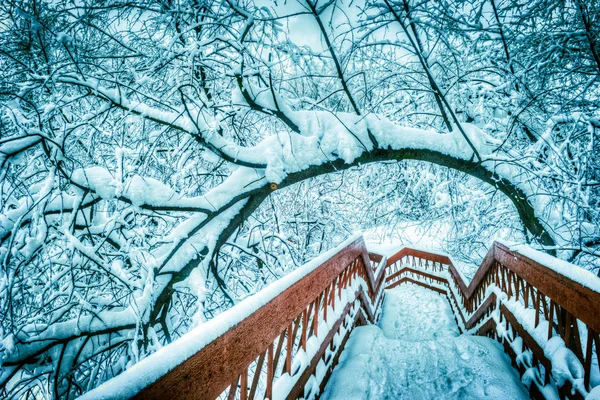 Japonský Červený Most Sněhem Bendigem Během Zimy — Stock fotografie