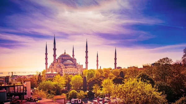 Κεραία βολή της Μπλε Τζαμί που περιβάλλεται από δέντρα στην παλιά πόλη της Κωνσταντινούπολης - Sultanahmet, Κωνσταντινούπολη, Τουρκία — Φωτογραφία Αρχείου