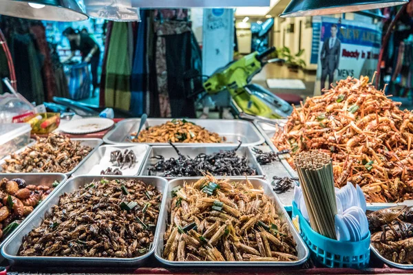 Insetos fritos nas ruas de Bangkok, Tailândia — Fotografia de Stock