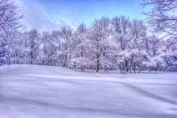 Paysage hivernal avec des arbres enneigés le long du parc d'hiver - scène hivernale enneigée dans des tons vintage — Photo