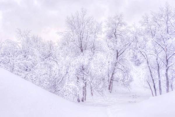 Winterlandschaft mit schneebedeckten Bäumen entlang des Winterparks - winterliche Schneelandschaft in Vintage-Tönen — Stockfoto