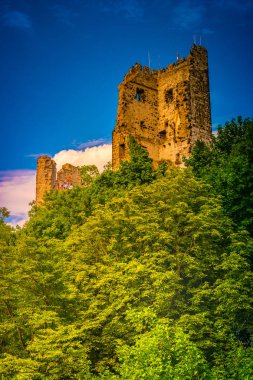 Drachenfels Konigswinter Rheine Siebengebirge Almanya ünlü harabe