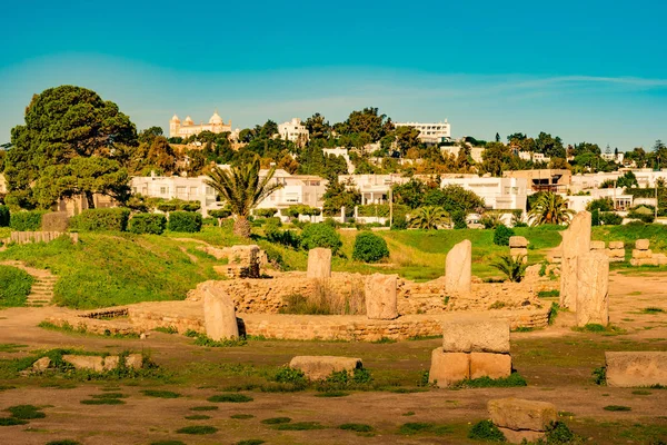 Ruinas de Cartago, capital de la antigua civilización cartaginesa, en Túnez — Foto de Stock