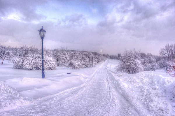 Zimowe miasta snowy parkowej. Drzewa pokryte śniegiem. Park sezon zimowy z samotna latarnia — Zdjęcie stockowe