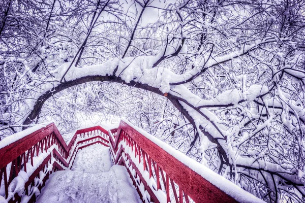 Japonský červený most se sněhem v rybníku, v zimě — Stock fotografie