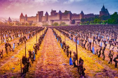 Görünüm ortaçağ şehir Carcassonne bir üzüm, Fransa